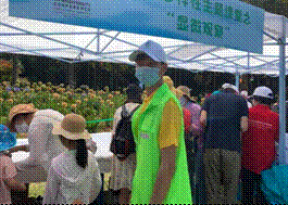 图片11