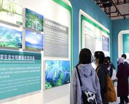 墙上贴着一些海报中度可信度描述已自动生成